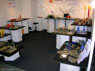 DSCN0588
