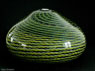 Glas-Vase DSCN9477