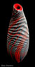 Glas-Vase DSCN9509