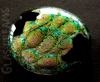 DSCN3149