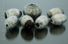 DSCN4176